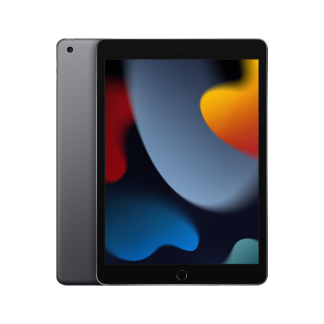 iPad 9ª Geração 256GB SPACE GRAY (seminovo)